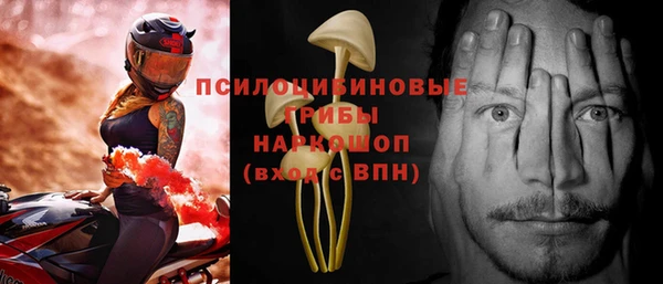 МДПВ Алзамай