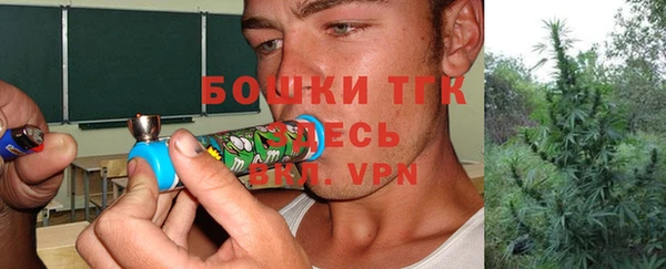 МДПВ Алзамай